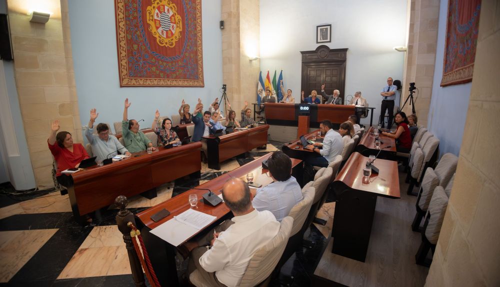 PLENO EXTRAORDINARIO JULIO JEREZ AMPLIACION CREDITO 29