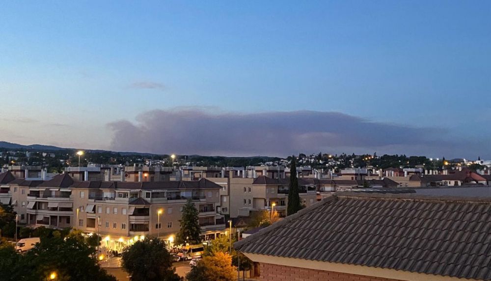 photo 5810026166990522032 y (1)