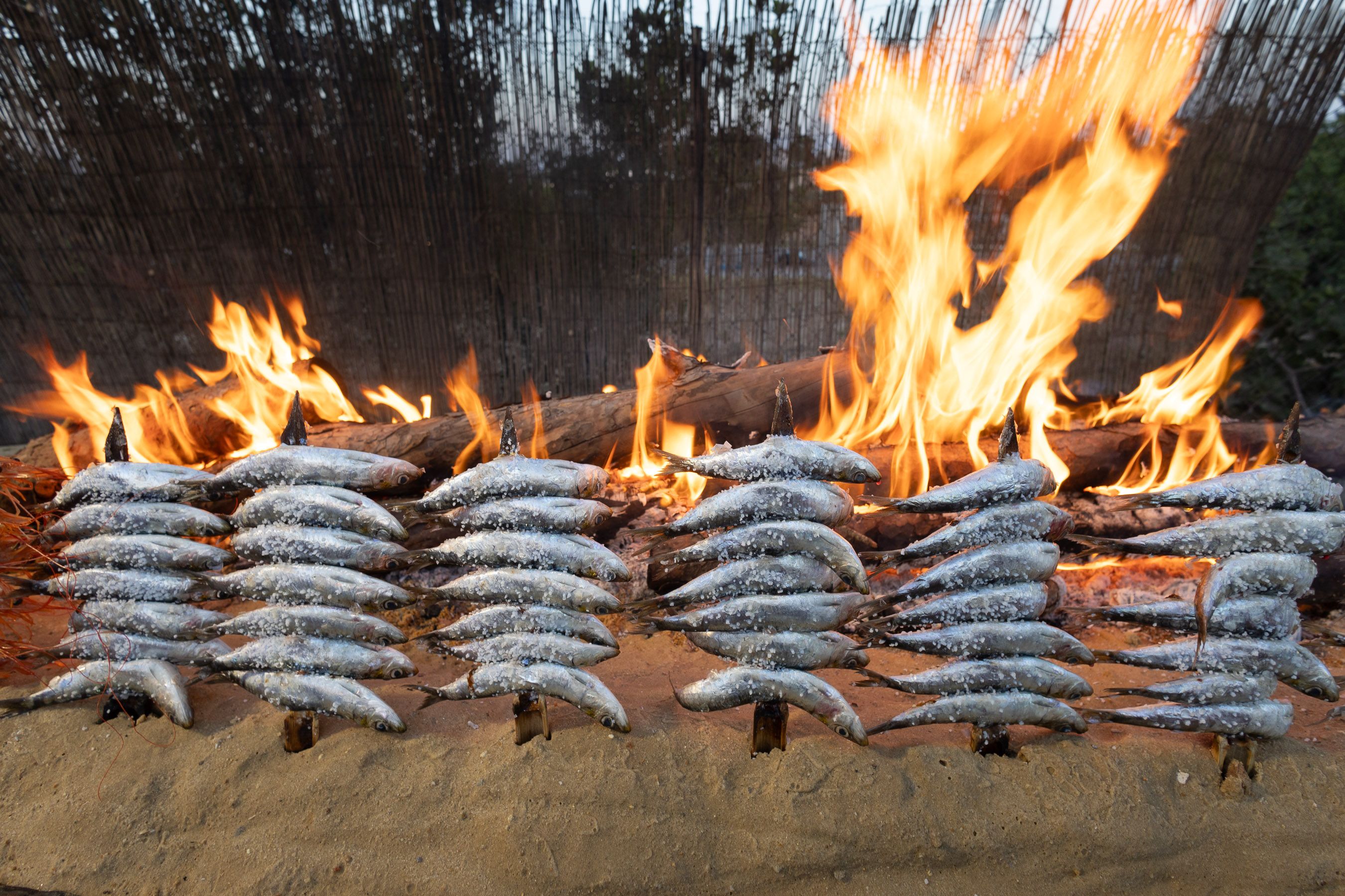 El Chinchal, las sardinas en espeto de Jerez.