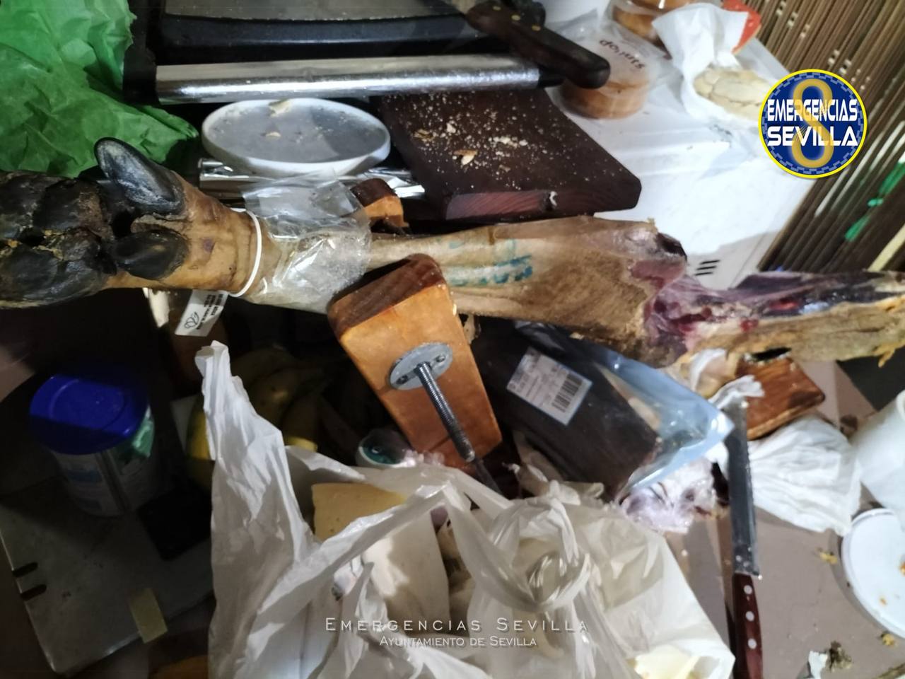 photo 5845964254300193819 y