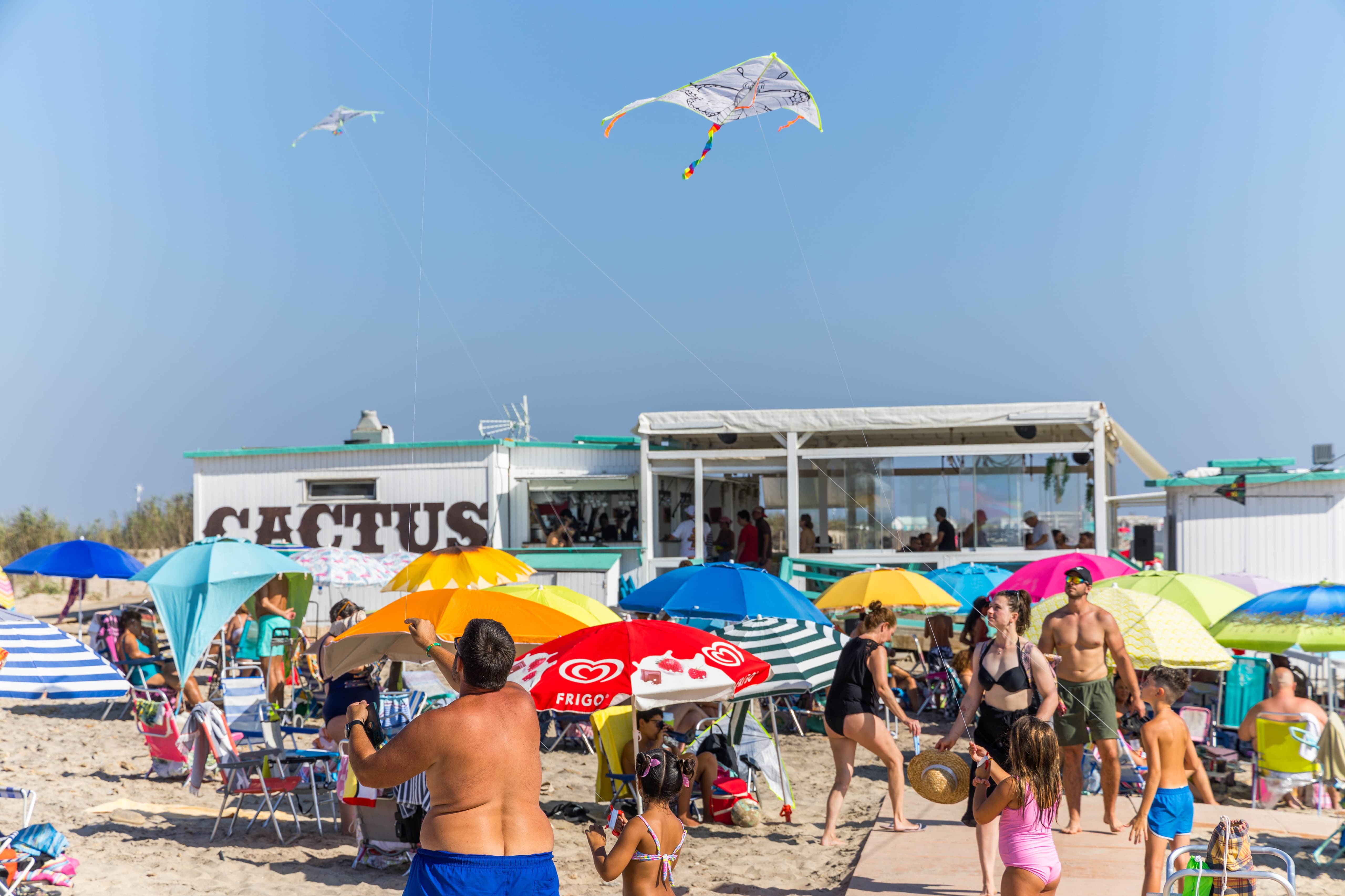 Una nueva edición de éxito de 'Camposoto bajo las estrellas', en imágenes.