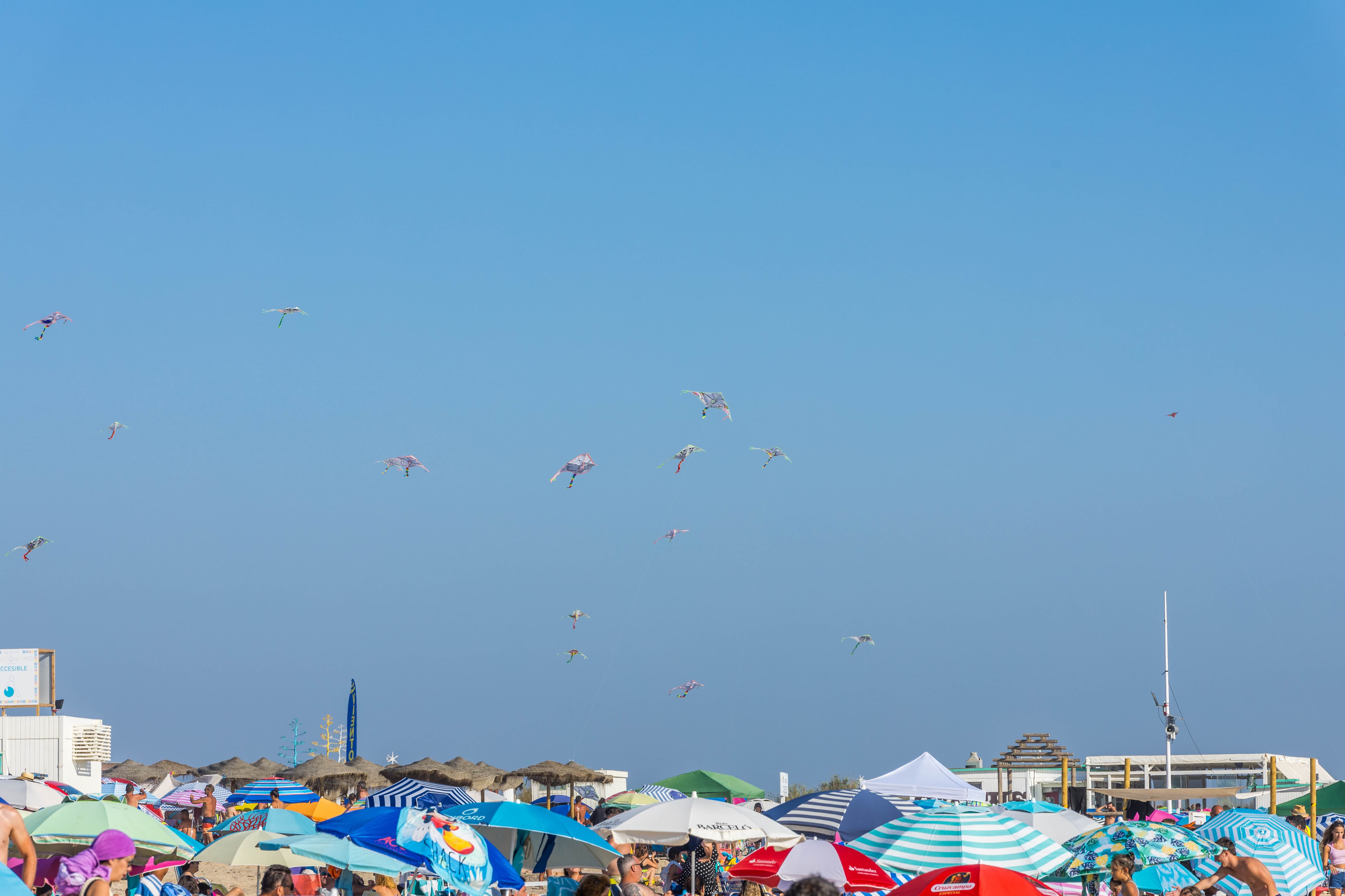 Una nueva edición de éxito de 'Camposoto bajo las estrellas', en imágenes.