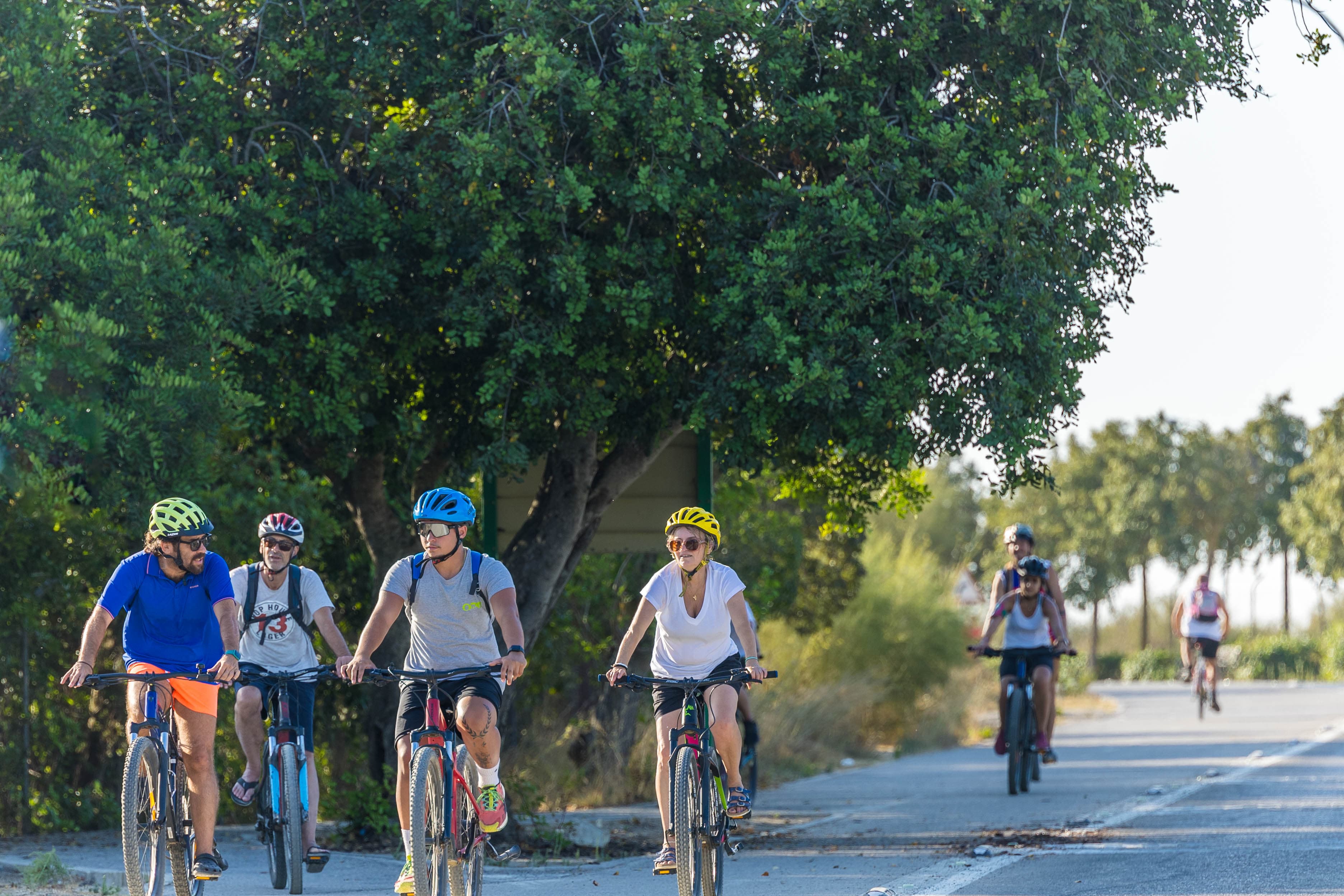 Una nueva edición de éxito de 'Camposoto bajo las estrellas', en imágenes.