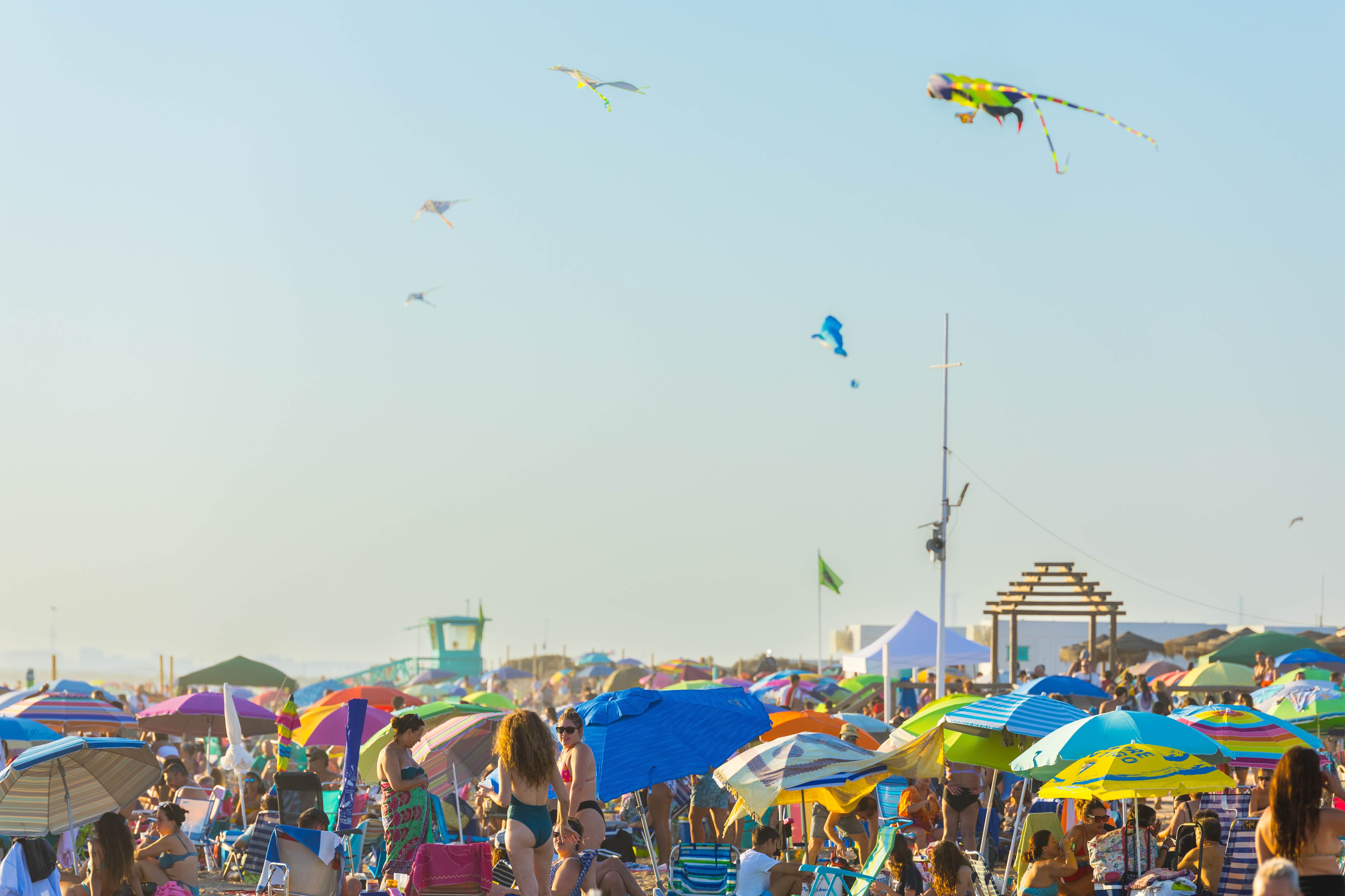 Una nueva edición de éxito de 'Camposoto bajo las estrellas', en imágenes.