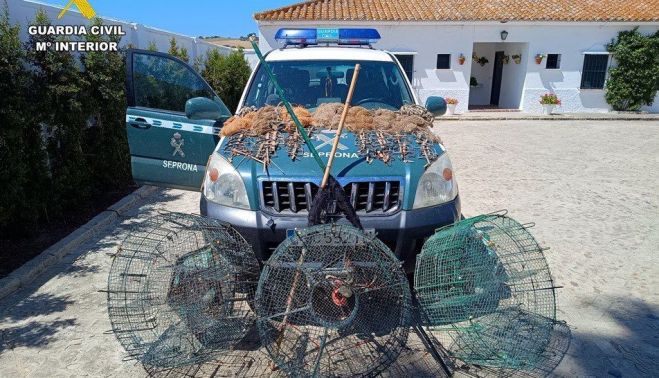 photo 5852811162314458493 y