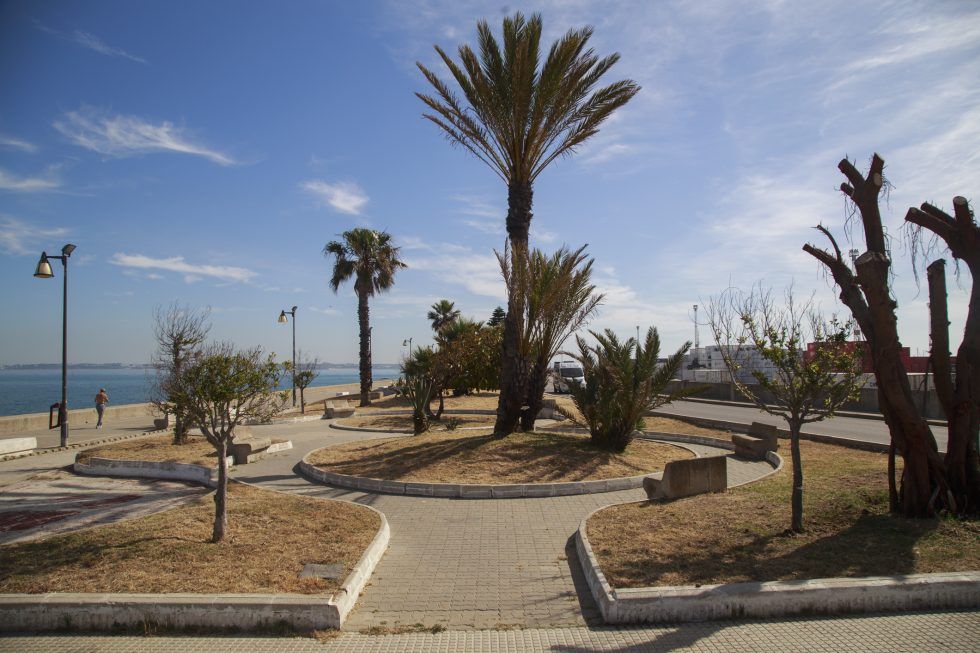 El paseo Almirante Pascual Pery, en Cádiz, que es objeto de la primera fase de las obras para la recuperación de este espacio.