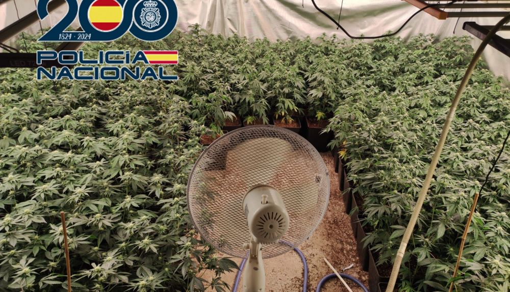 2024 07 30 JEREZ LEBRIJA. Cae banda espacializada en marihuana entre Jerez y Lebrija (1) (1)