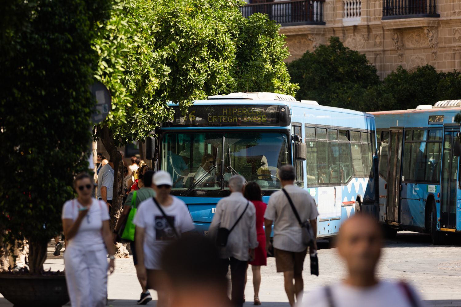 Un autobús en el centro de Jerez, en una imagen reciente.