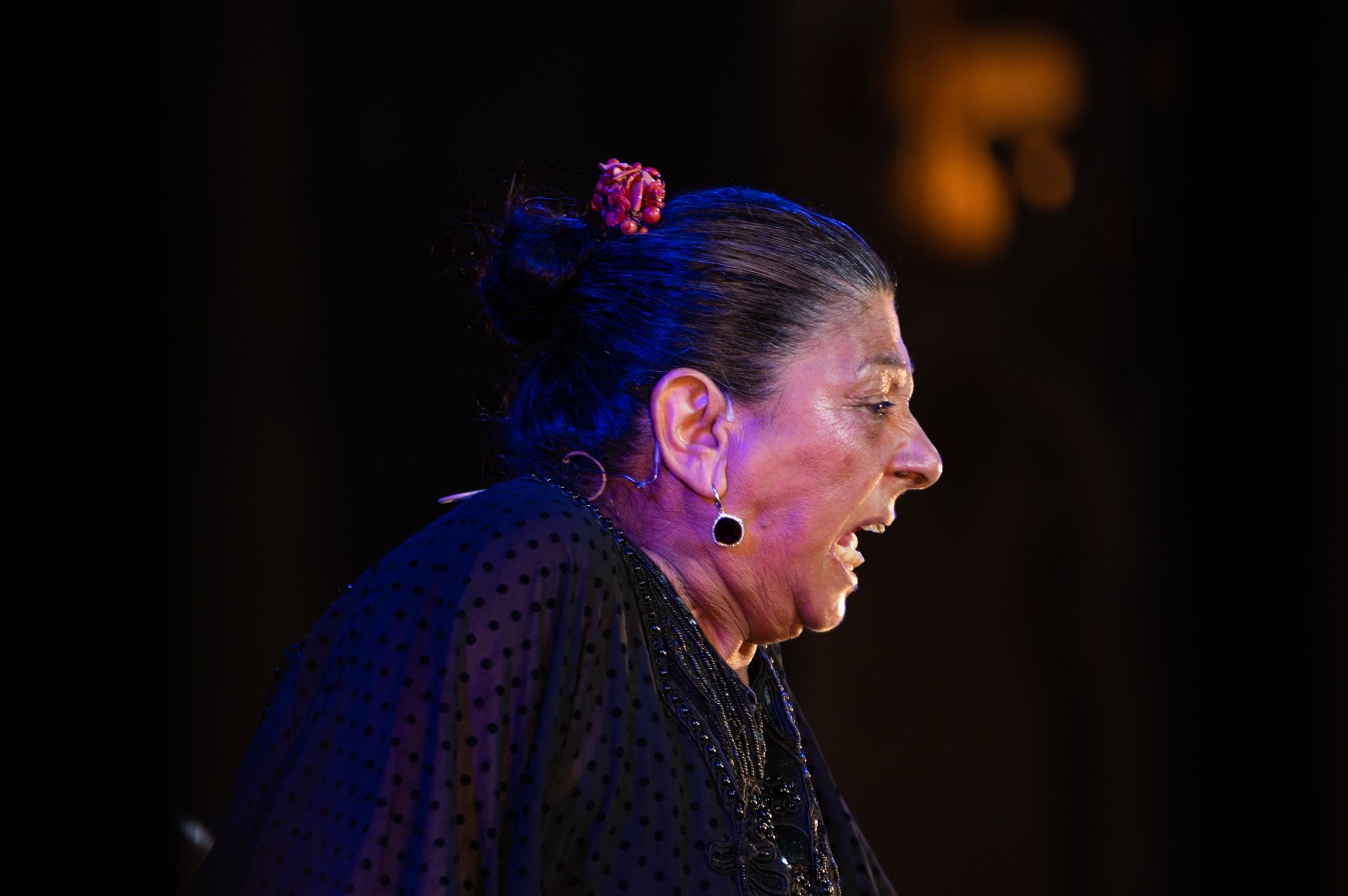 Viernes Flamencos Jerez 2024 - Dolores Agujetas, Inés Bacán y Carmen Ledesma Viernes Flamencos Jerez 2024 - Dolores Agujetas, Inés Bacán y Carmen Ledesma