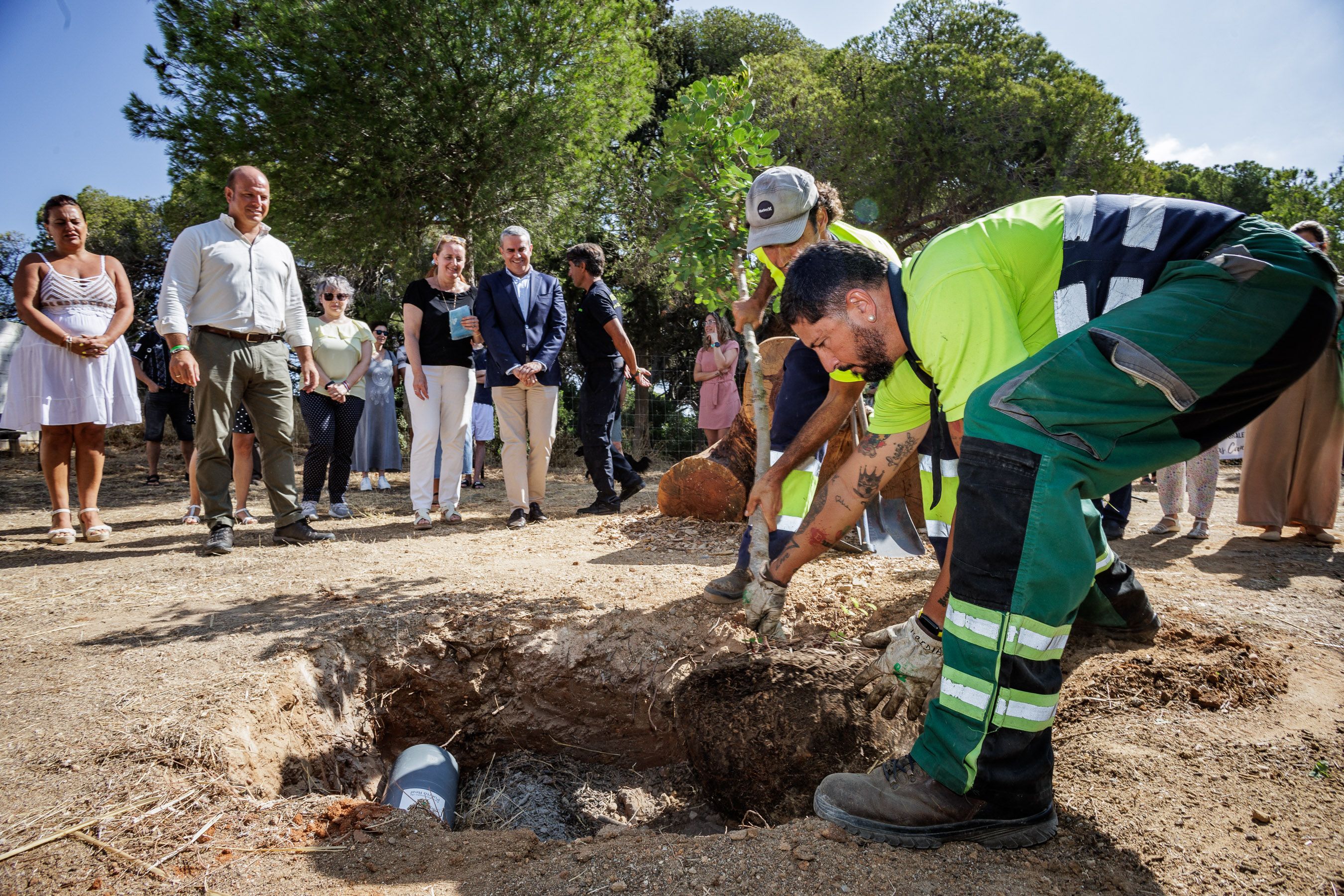 Las Canteras de Puerto Real un año después del incendio 