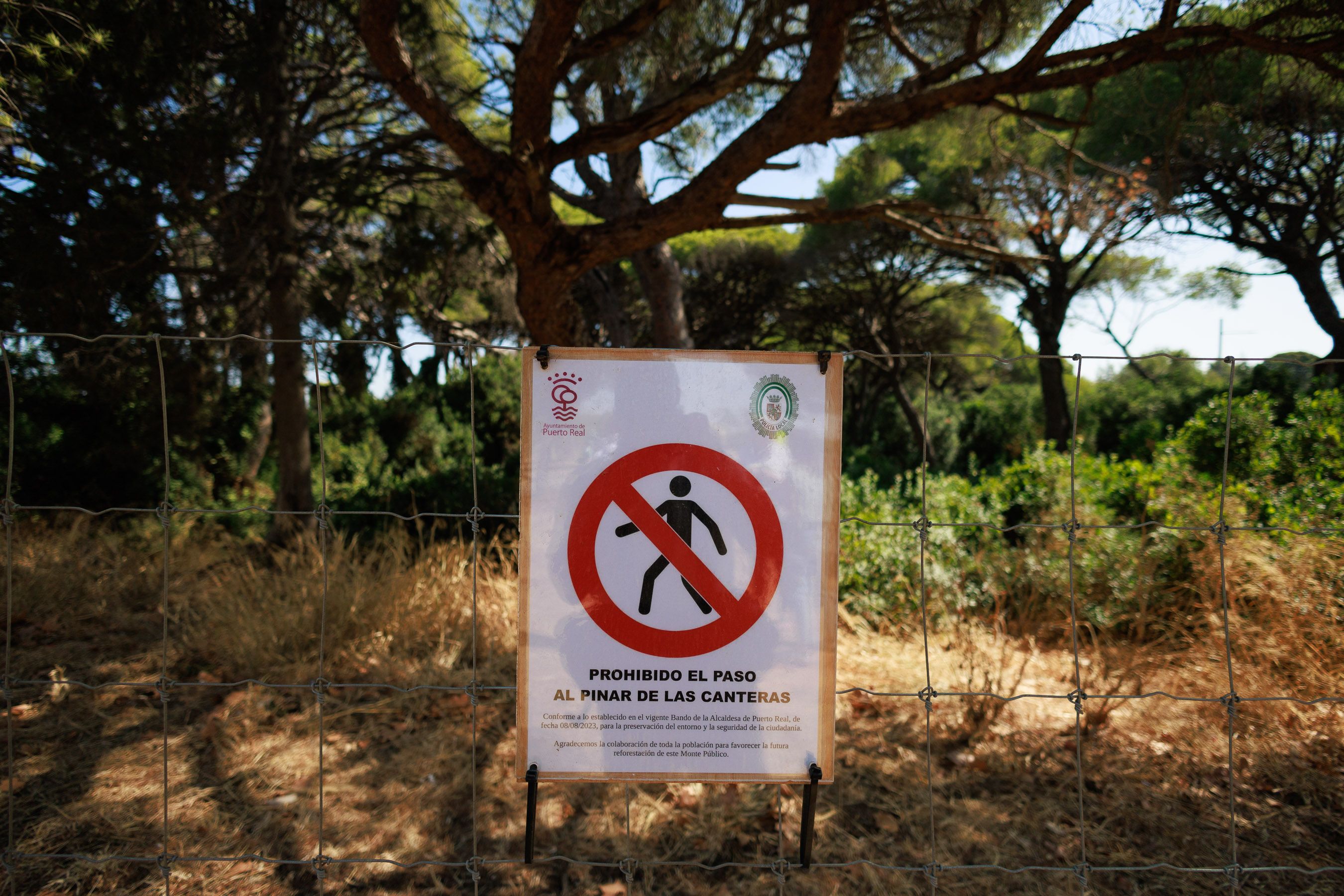 Las Canteras de Puerto Real un año después del incendio 