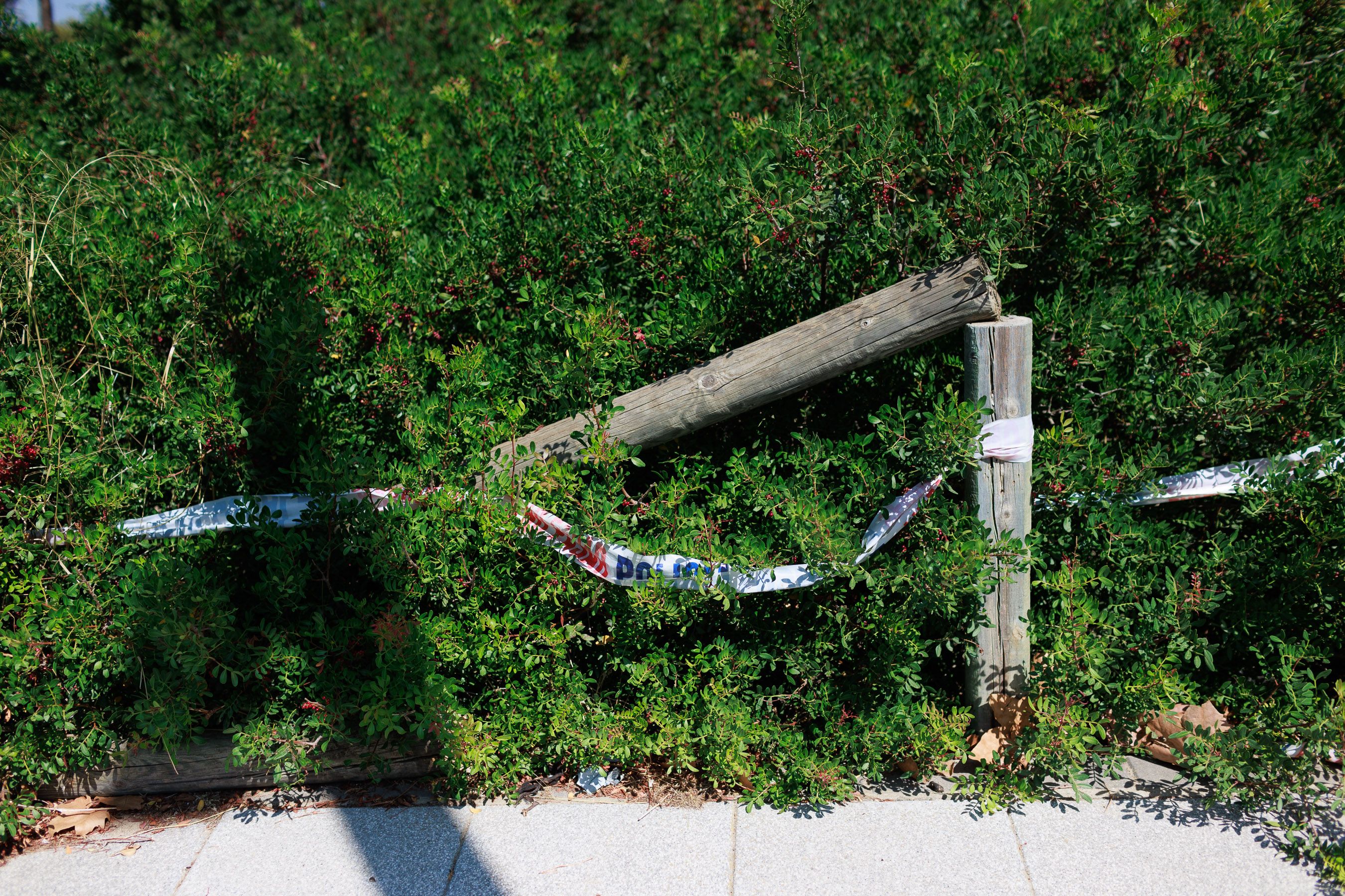 Las Canteras de Puerto Real un año después del incendio 
