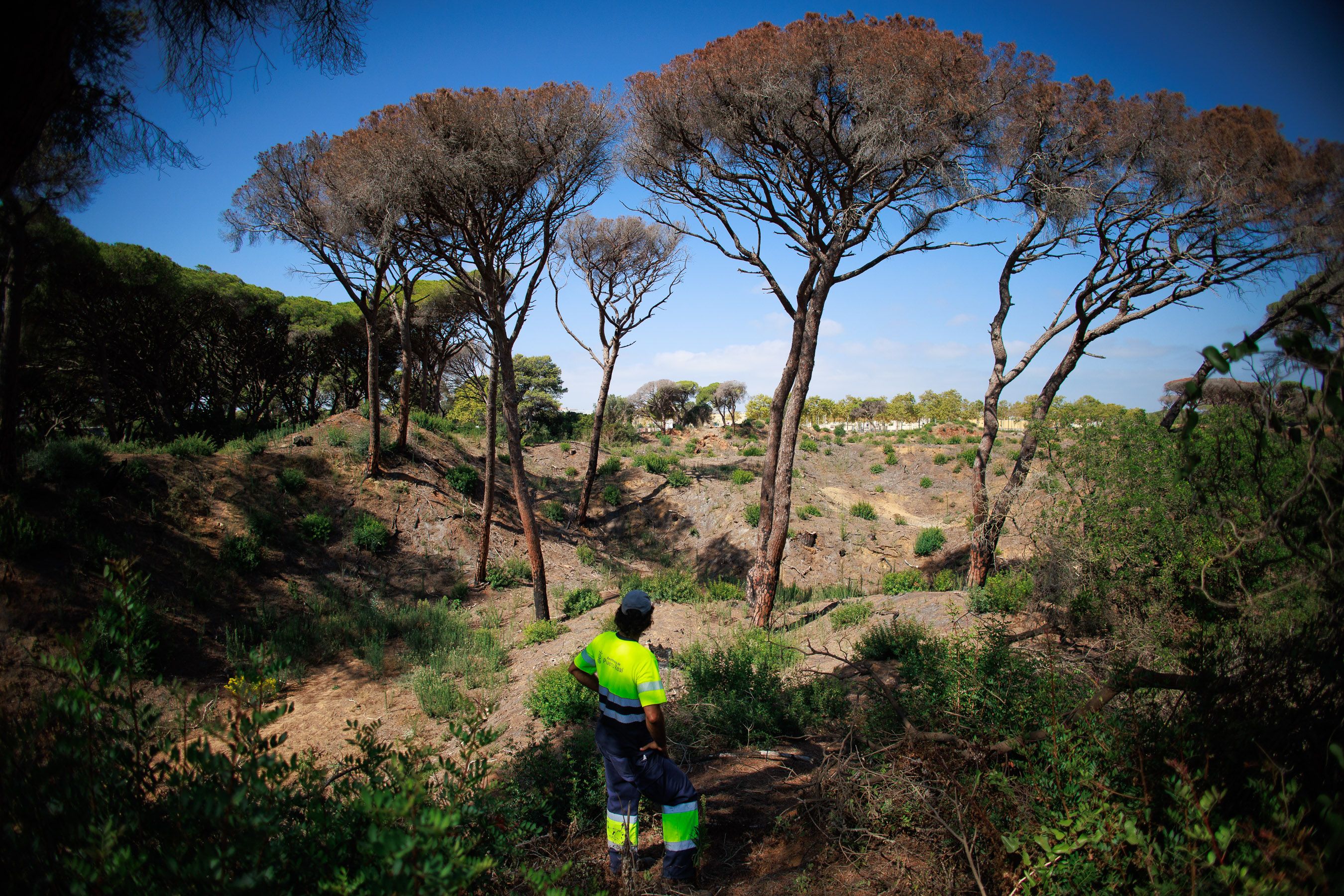 Las Canteras de Puerto Real un año después del incendio 