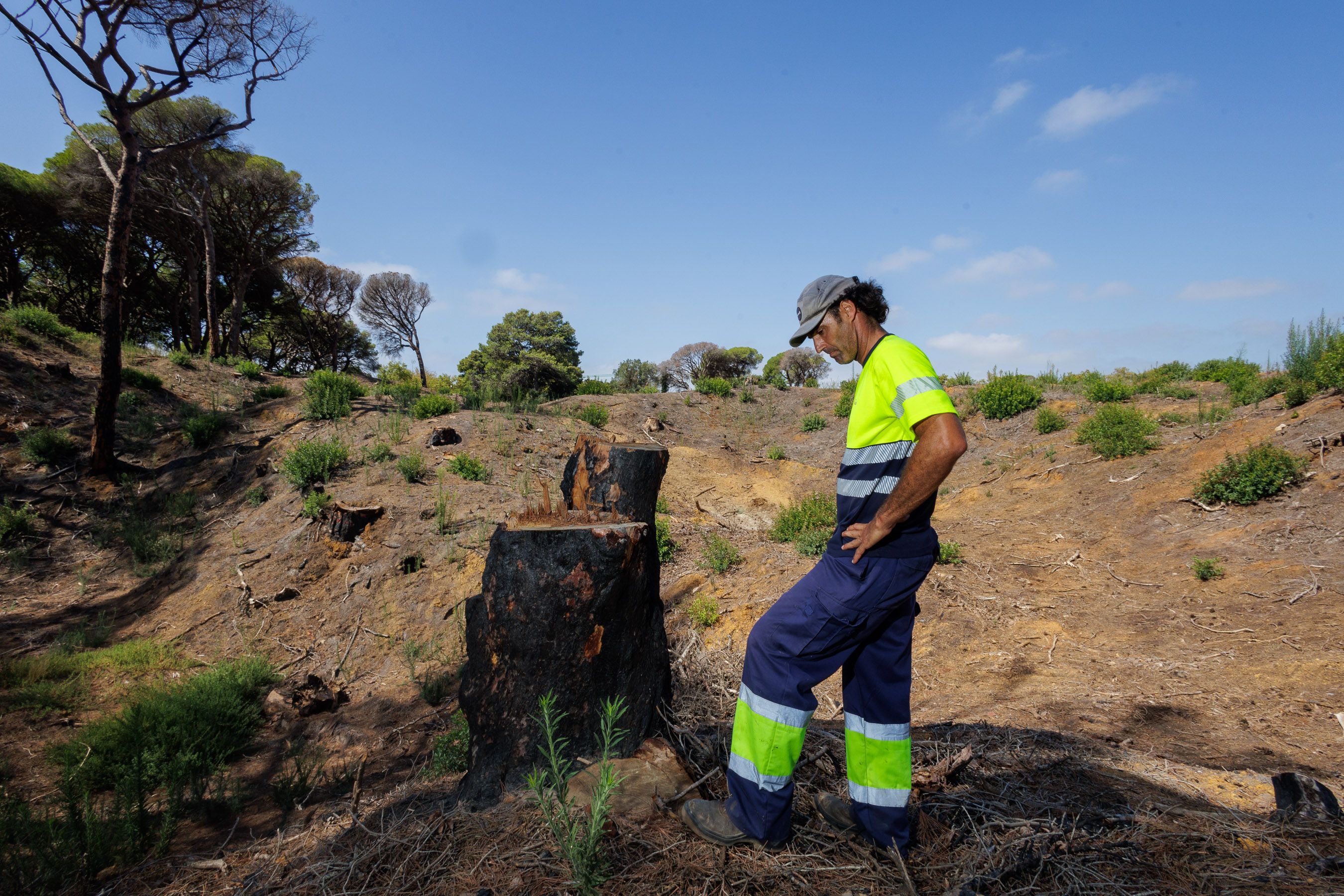 Las Canteras de Puerto Real un año después del incendio 