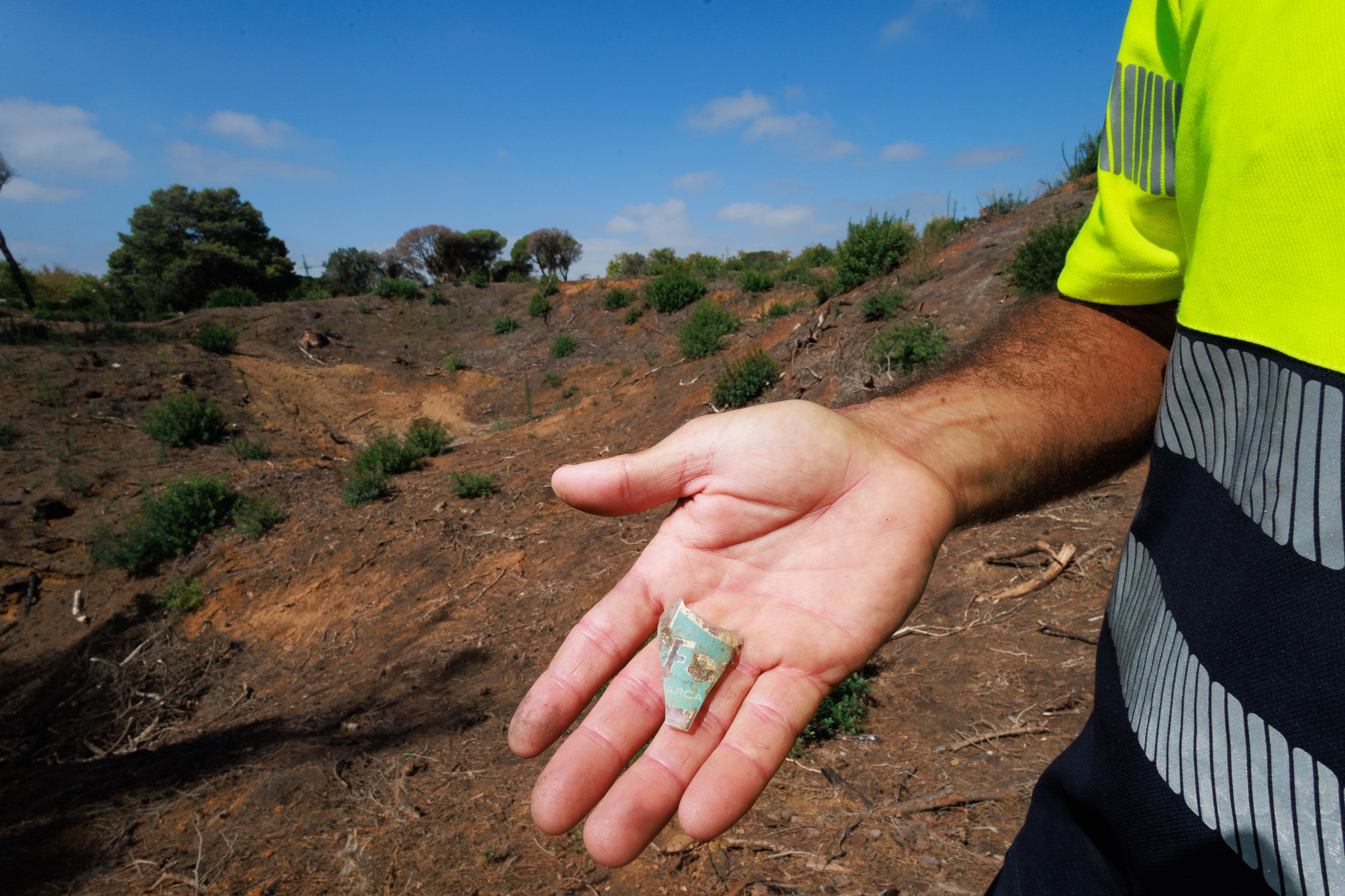 Las Canteras de Puerto Real un año después del incendio 