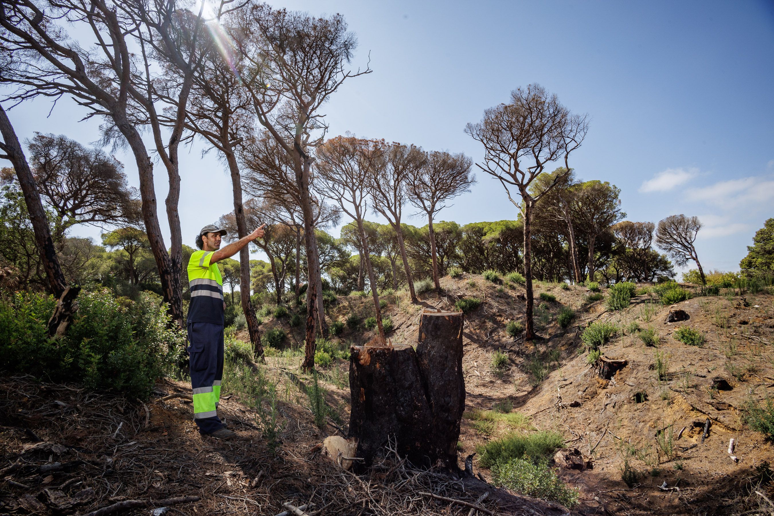 Las Canteras de Puerto Real un año después del incendio 