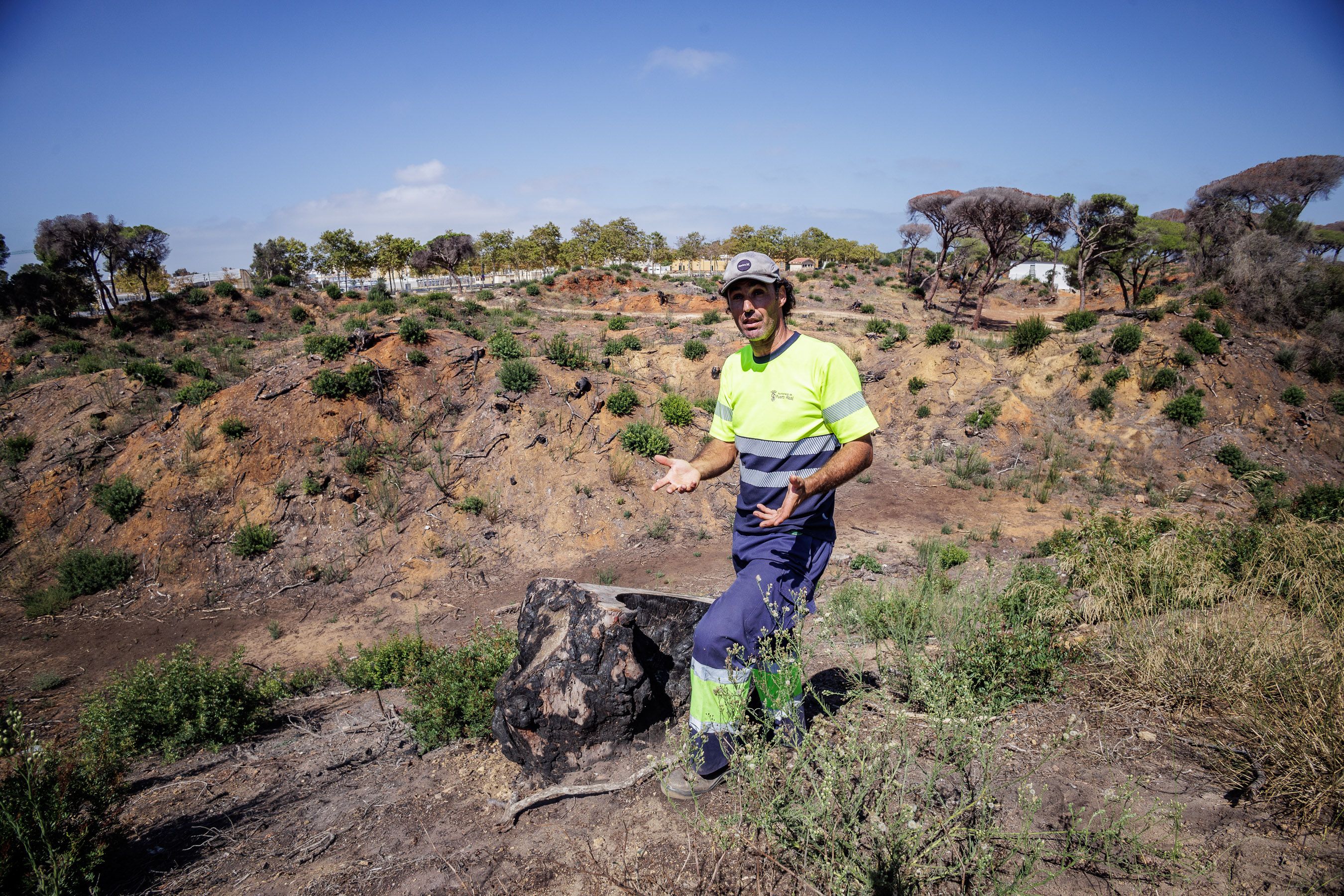 Las Canteras de Puerto Real un año después del incendio 