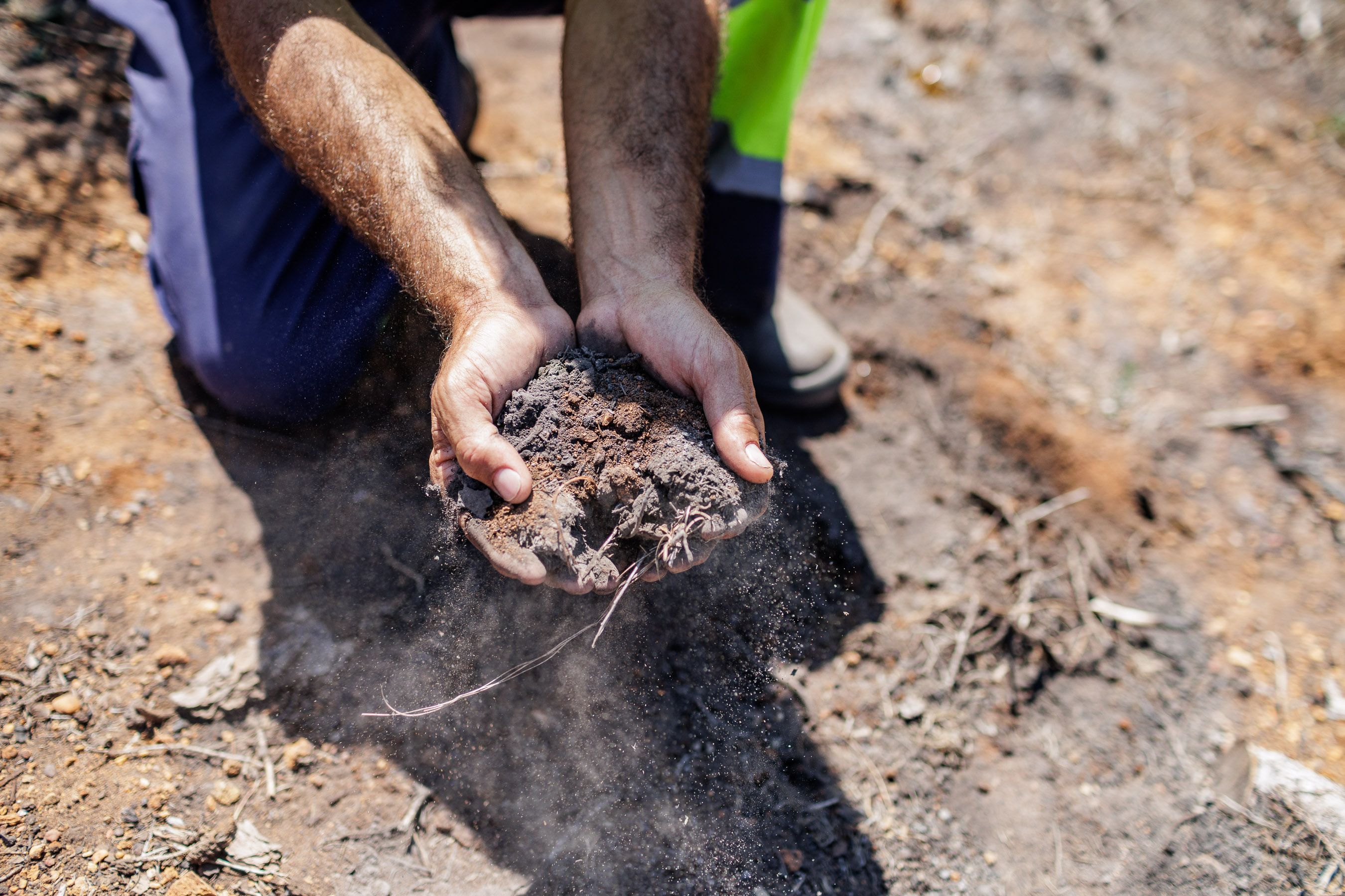 Las Canteras de Puerto Real un año después del incendio 