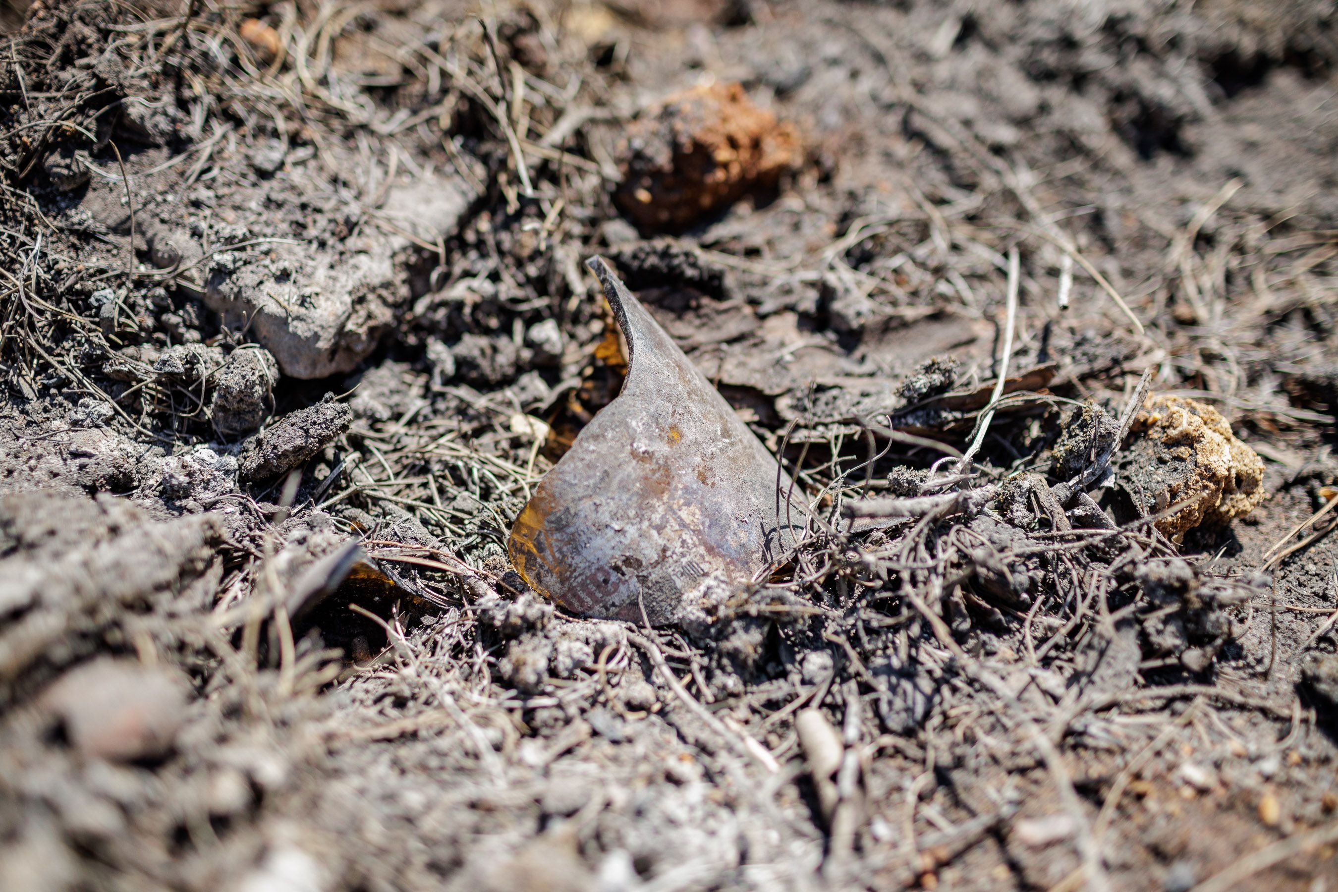 Las Canteras de Puerto Real un año después del incendio 