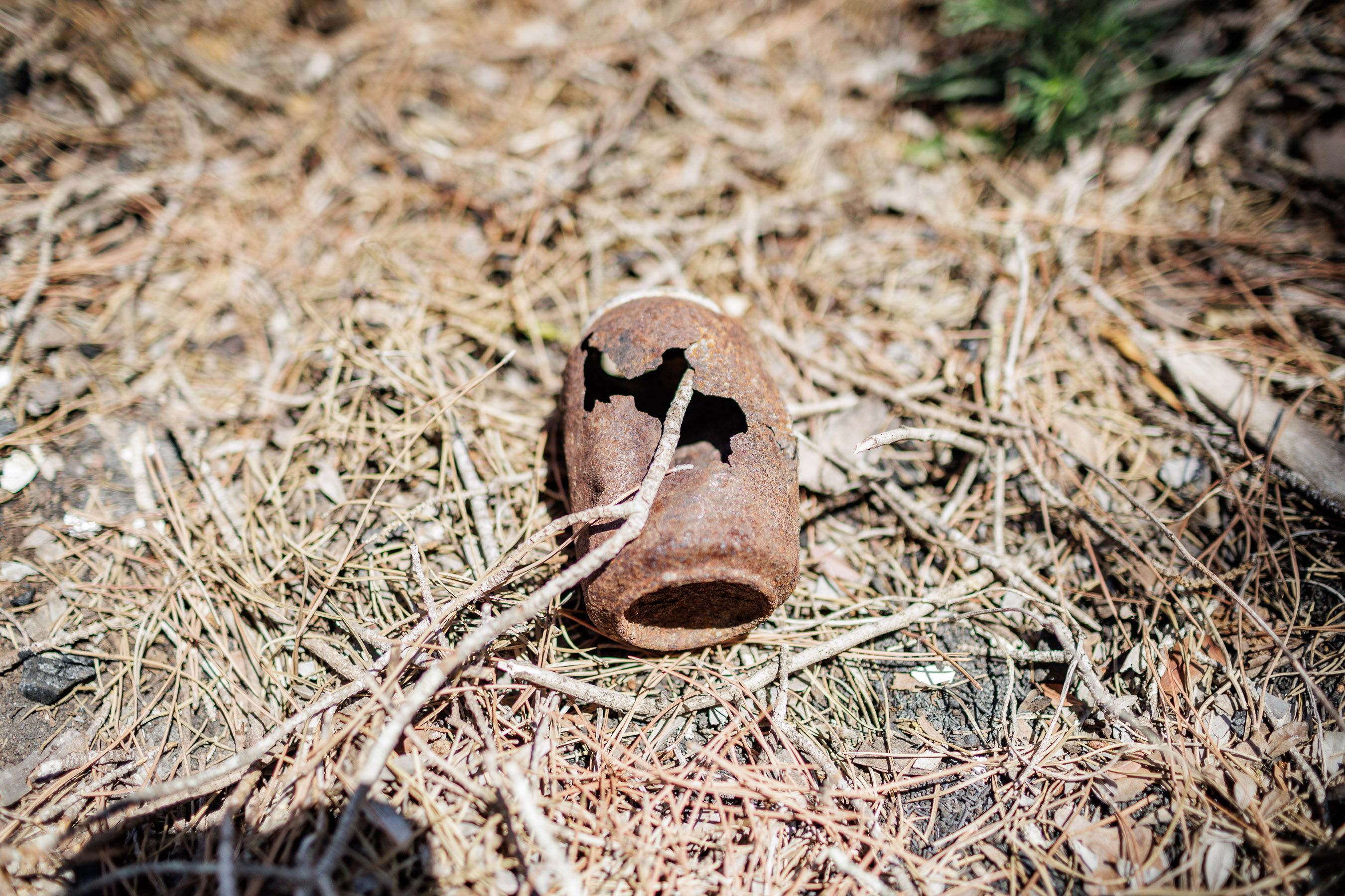 Las Canteras de Puerto Real un año después del incendio 