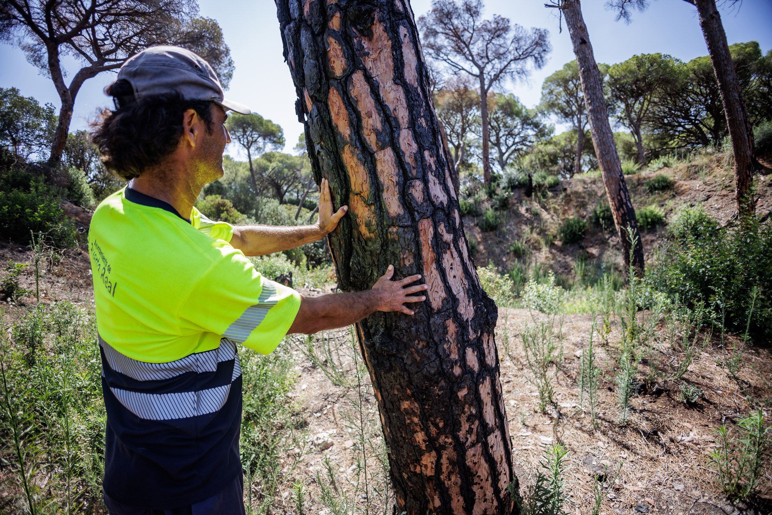 Las Canteras de Puerto Real un año después del incendio 