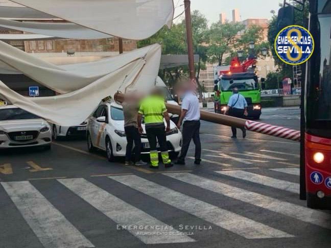 photo 5879574903127131305 x