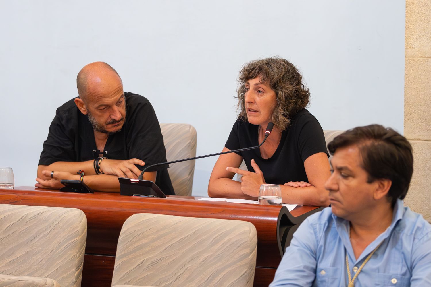 El pleno urgente de agosto en Jerez, en imágenes: el estreno de un nuevo edil socialista en una sesión muy 'económica'.