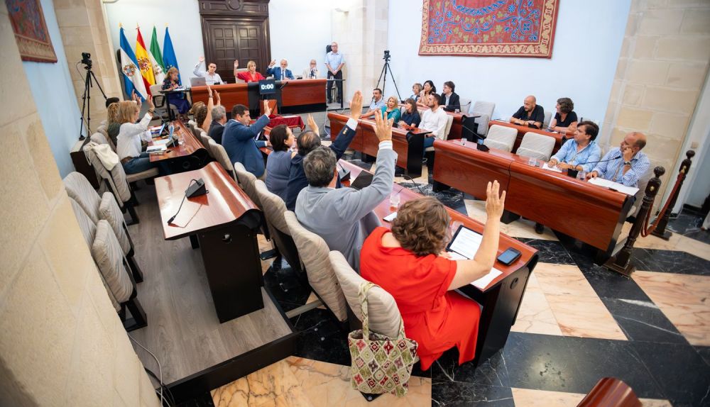 El pleno urgente de agosto en Jerez, en imágenes: el estreno de un nuevo edil socialista en una sesión muy 'económica'.