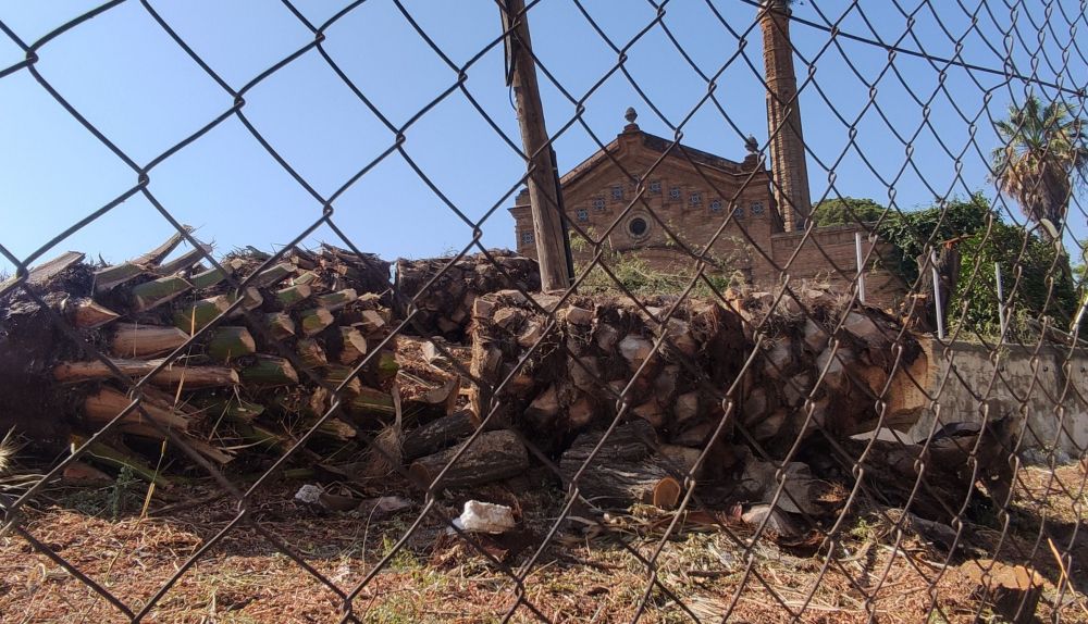 454421128 913314650838270 3004447551784311973 n