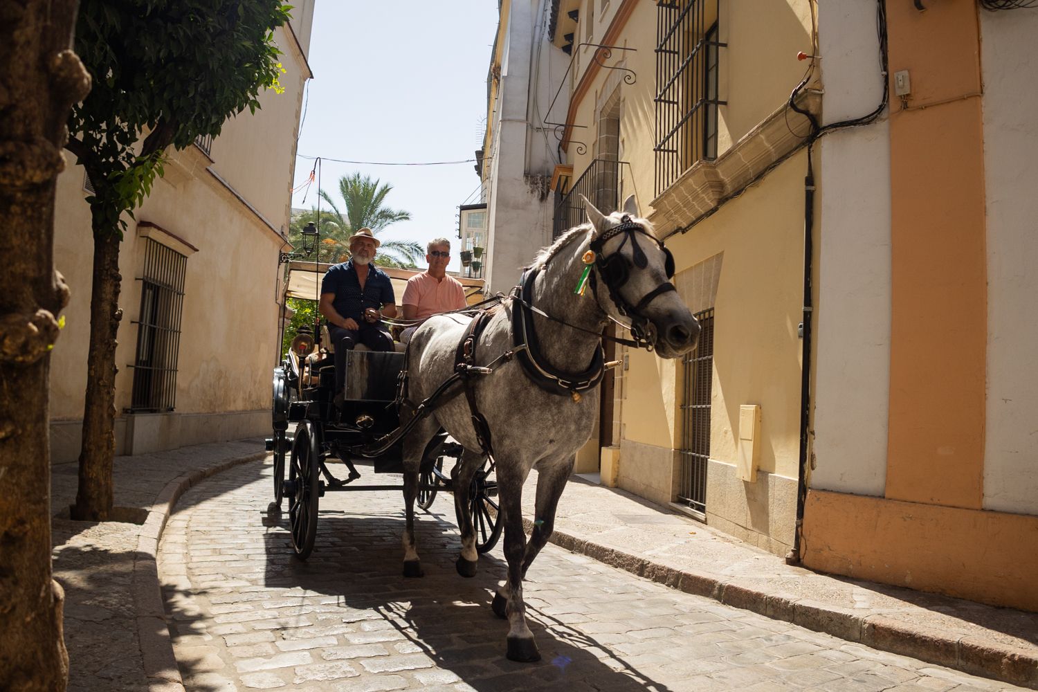 Andalucía vivirá una jornada de calor.