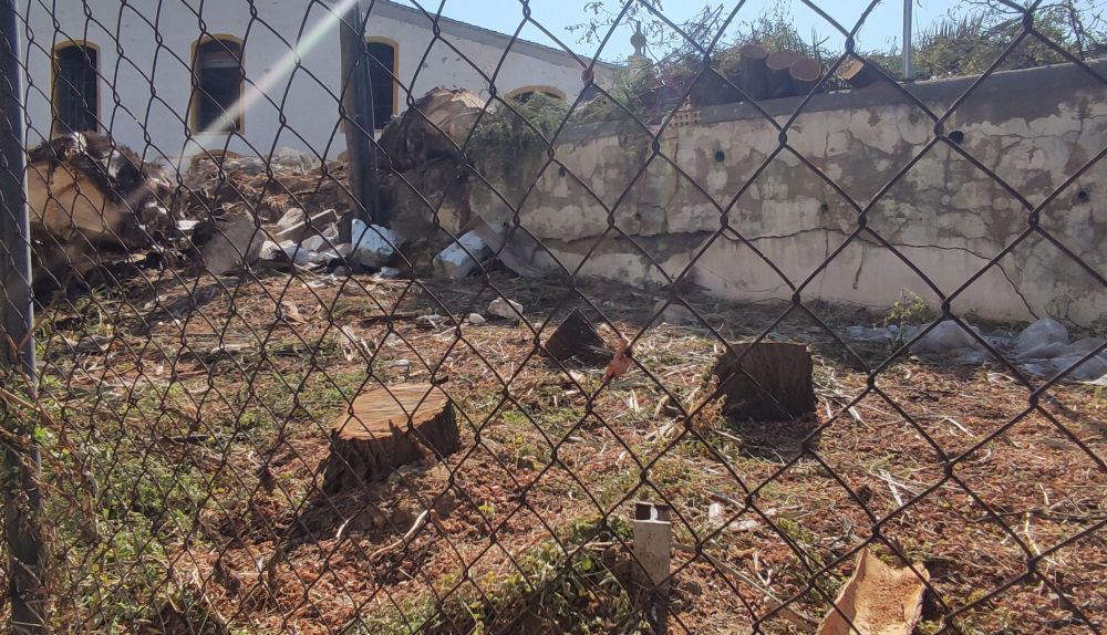 454349595 913314677504934 4891459527893140265 n