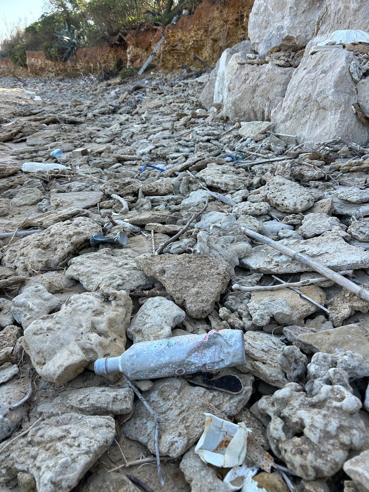 La iniciativa contra la basura en la playa Micaela de Chipiona.