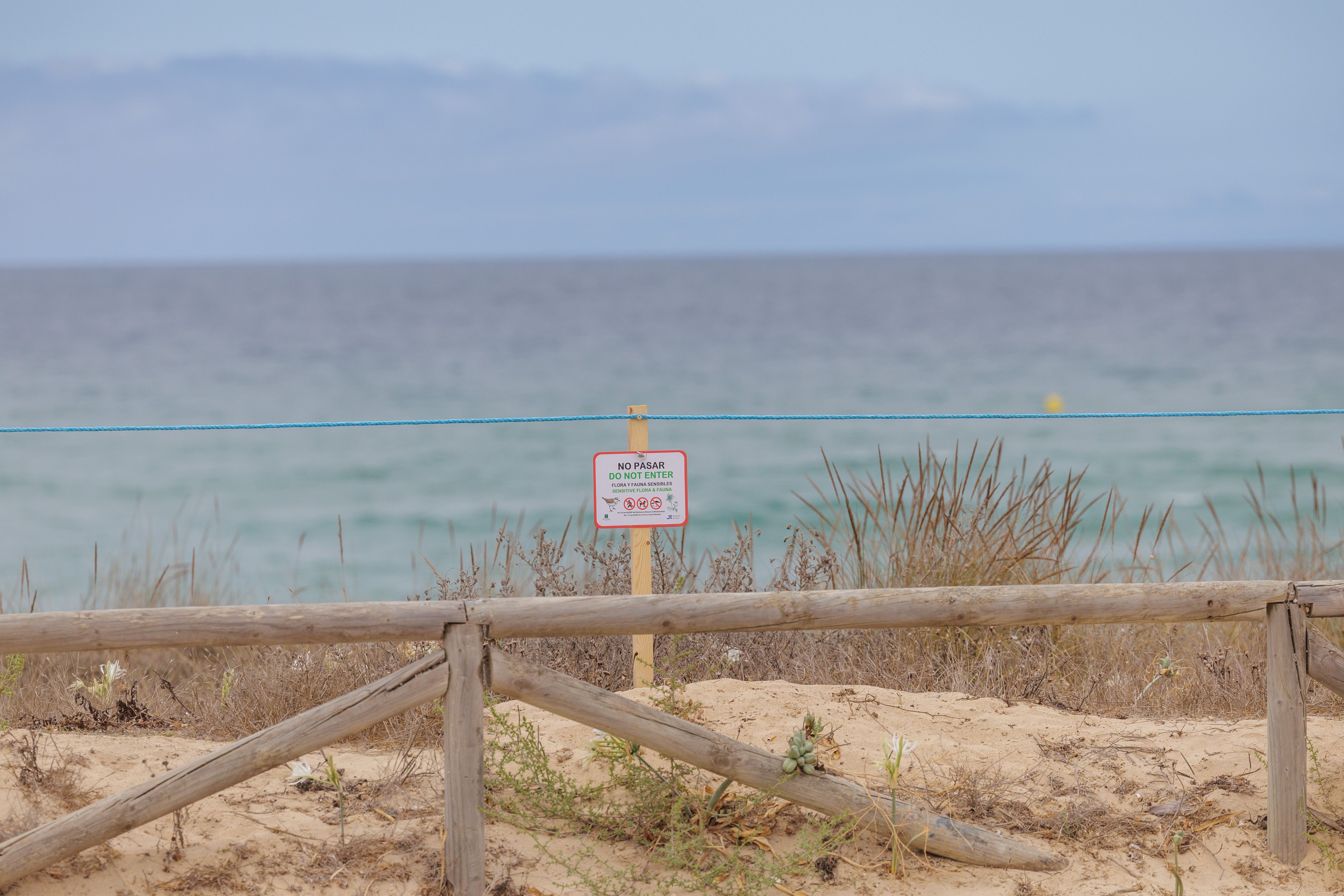 Dunas de la playa de El Palmar.
