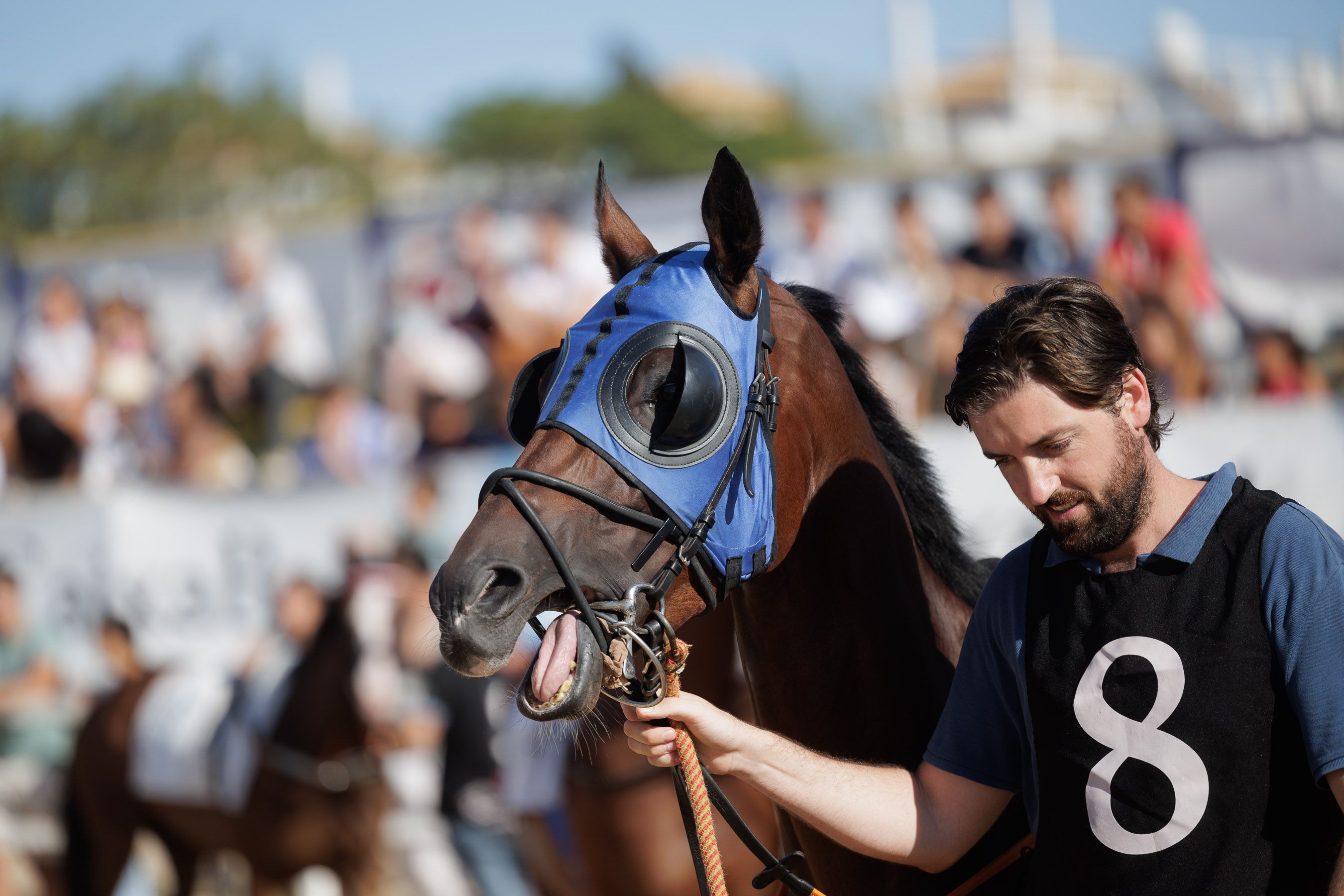 Las carreras de Caballos de Sanlúcar, cuyos organizadores acuden a Dos Hermanas este fin de semana.