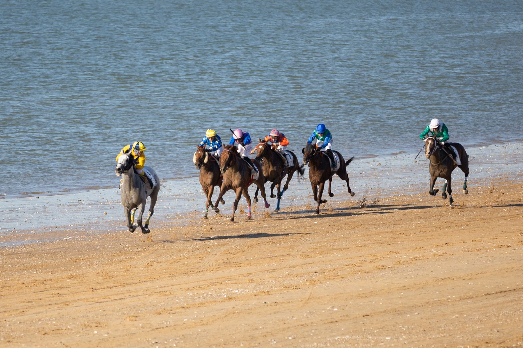 Carreras de caballos en Sanlúcar el pasado verano.