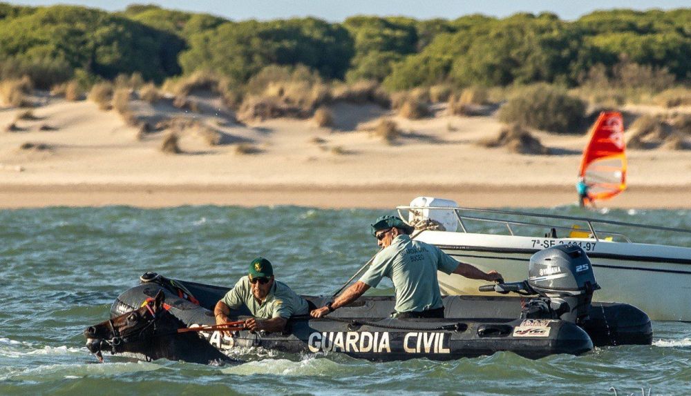 photo 5911036376088954358 y