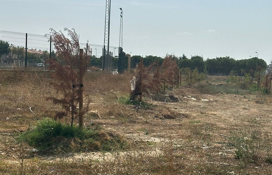 GMS bosque urbano de La Canaleja