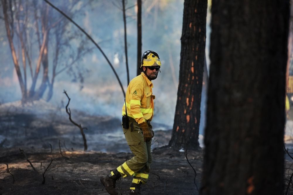 El incendio de Bonares, uno de los más importantes que ha sufrido Andalucía este año.