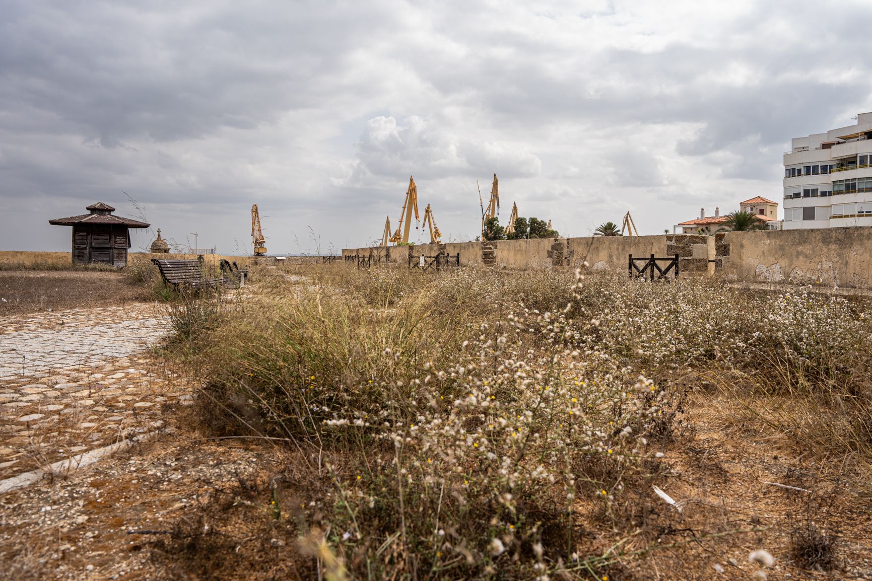 Las Puertas de Tierra necesitan una reforma integral