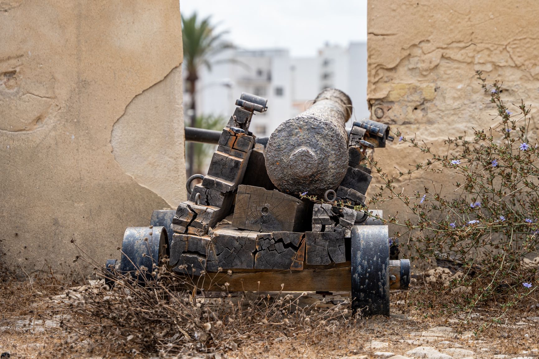 Un cañón en las Puertas de Tierra 