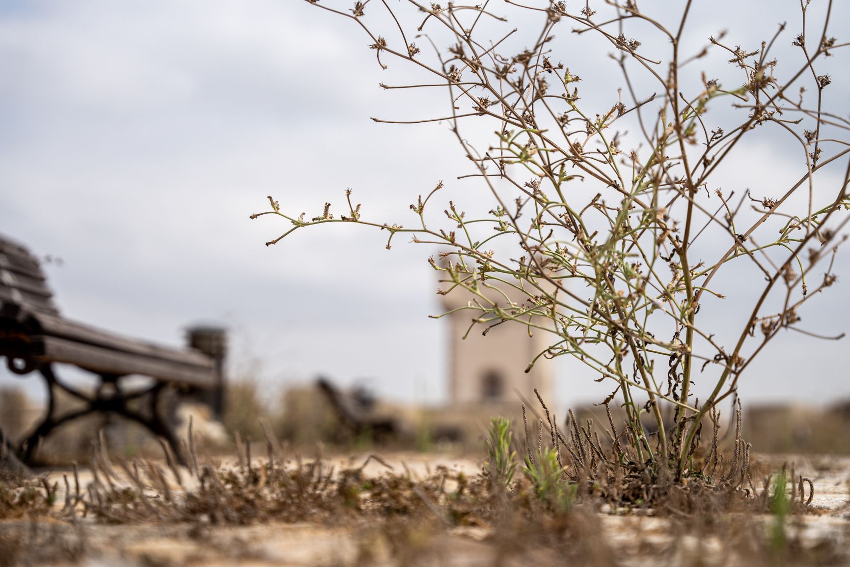 Imagen de las Puertas de Tierra 