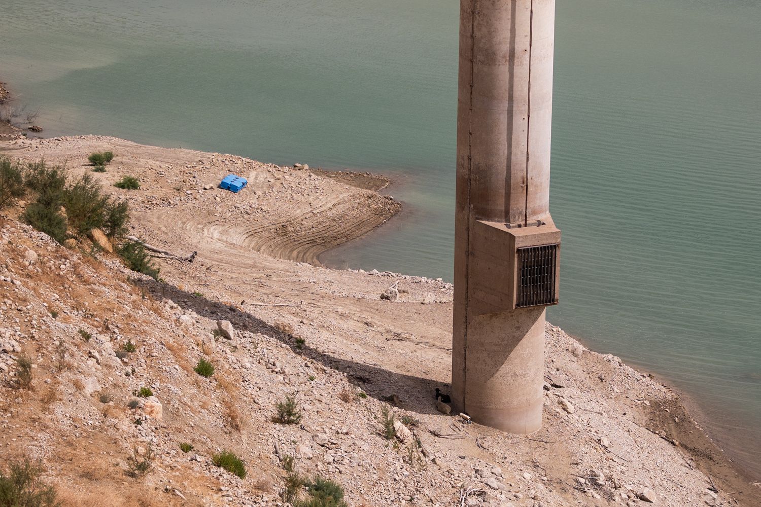 A la sombra de la torre