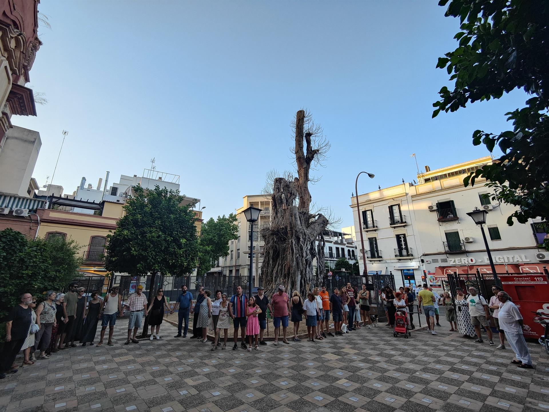 Activistas en torno al ficus centenario de San Jacinto.