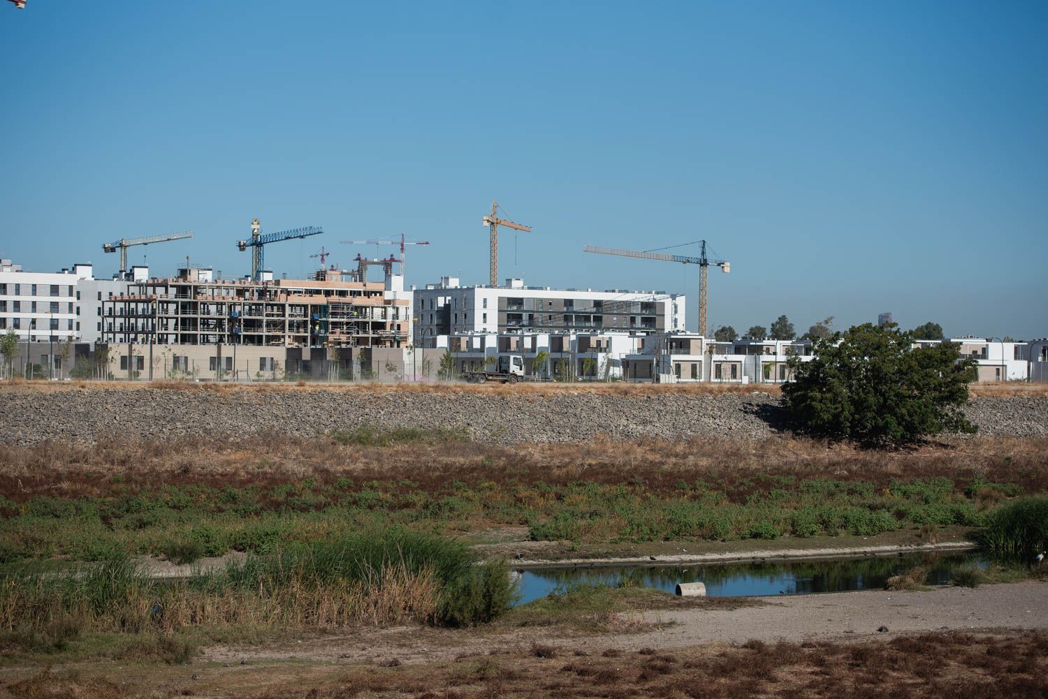 Palmas Altas, en una imagen de archivo.