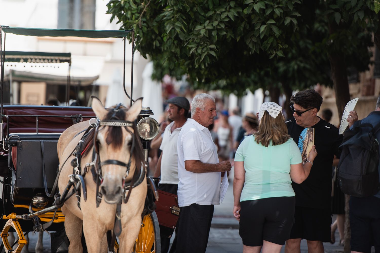 Un coche de caballos en Sevilla.