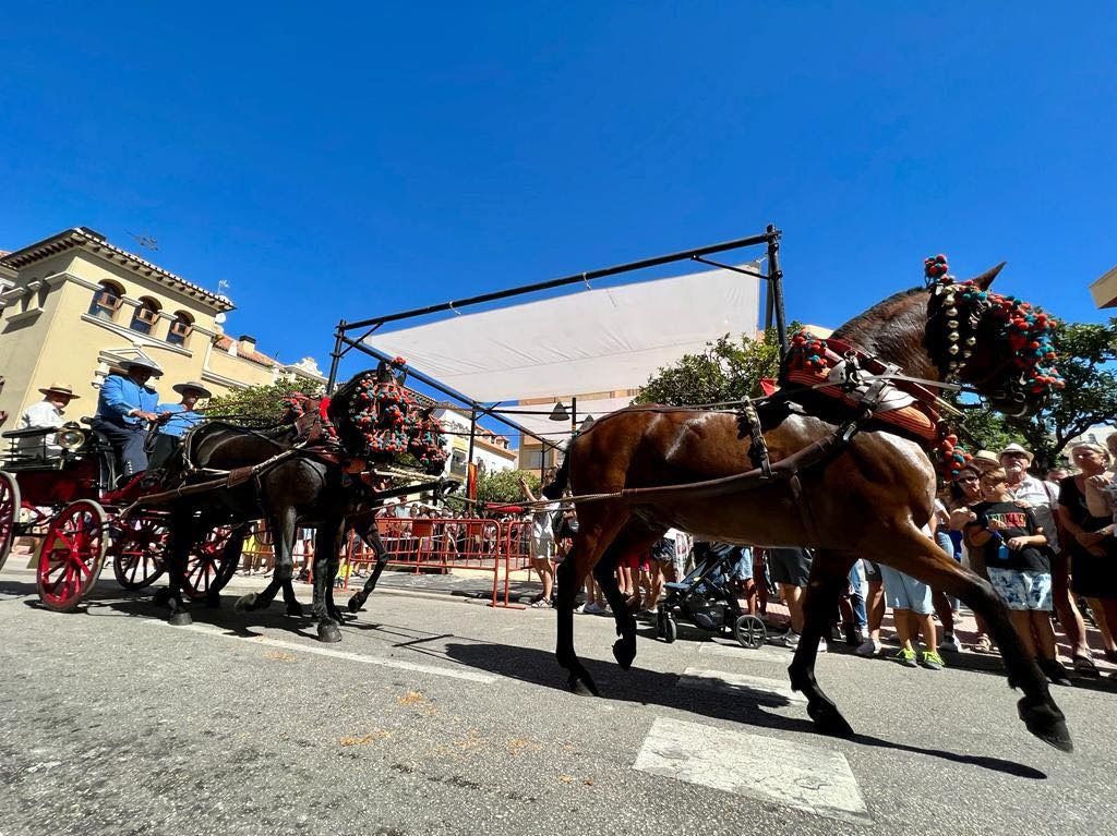 Una imagen de 'Fuengirola a caballo' facilitada por PACMA. Una imagen de 'Fuengirola a caballo' facilitada por PACMA. El partido animalista habla de un nuevo desplome.