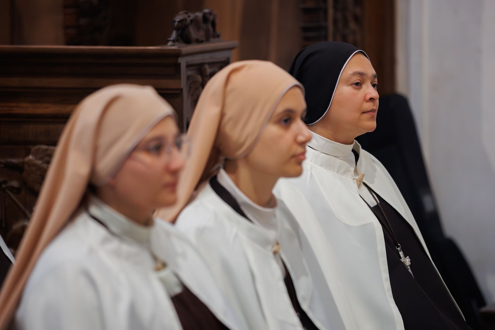 Presentación de las hermanas Carmelitas en la Cartuja