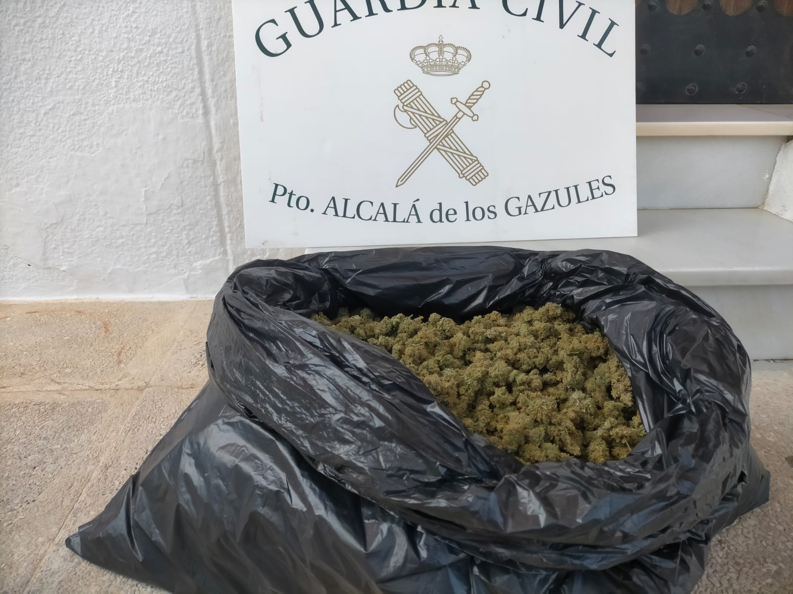 Cogollos de marihuana incautados en una bolsa de la Guardia Civil.
