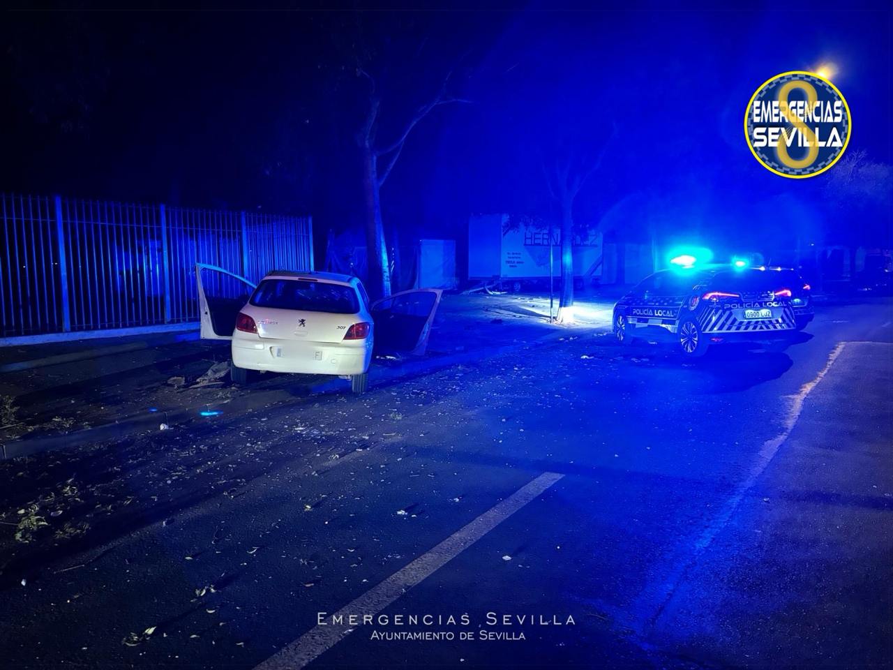 El coche, estampado contra un árbol tras derribar una farola.