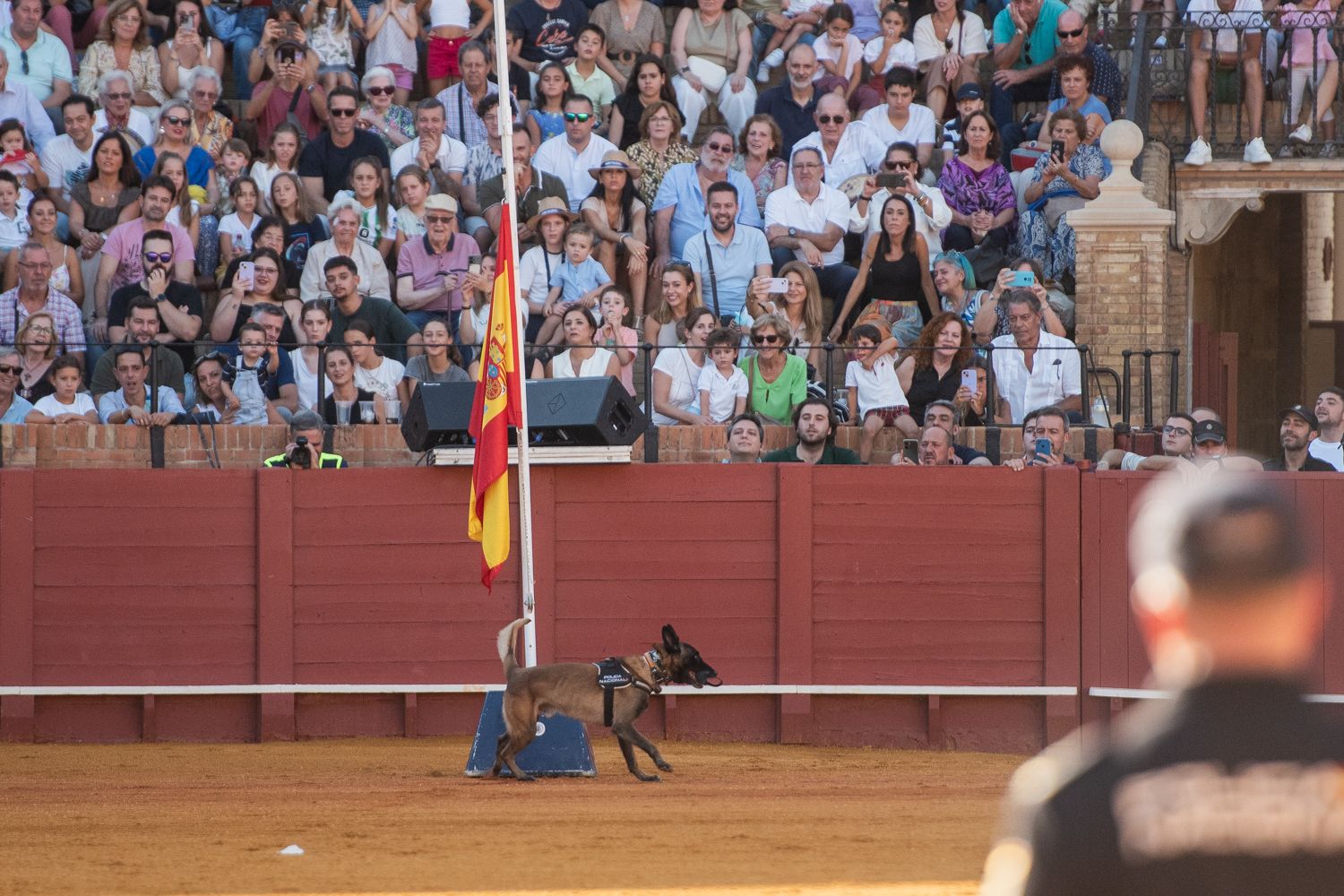 Demostración de operativas de la Policía Nacional en la Maestranza de Sevilla